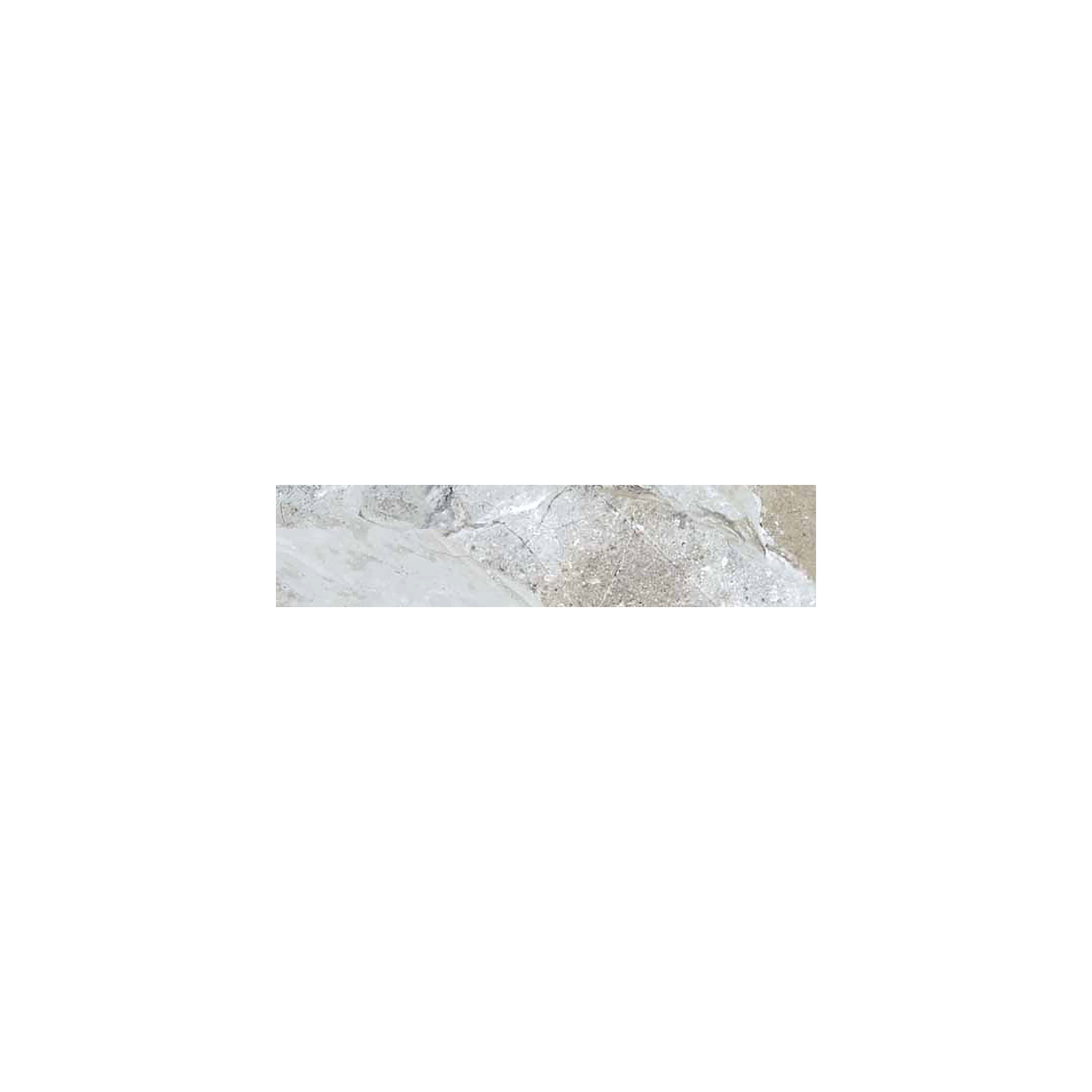 fossilique