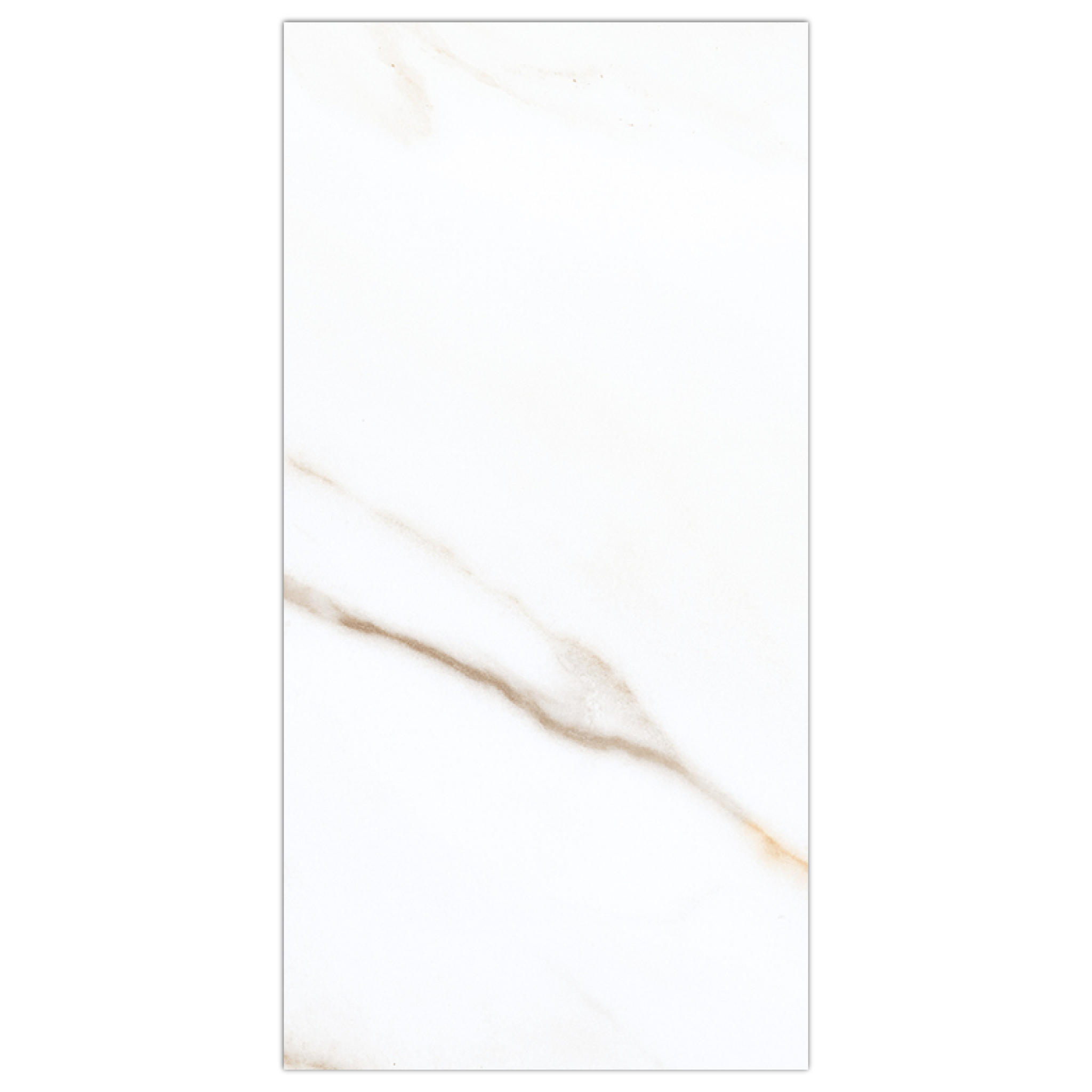 calacatta borghini next