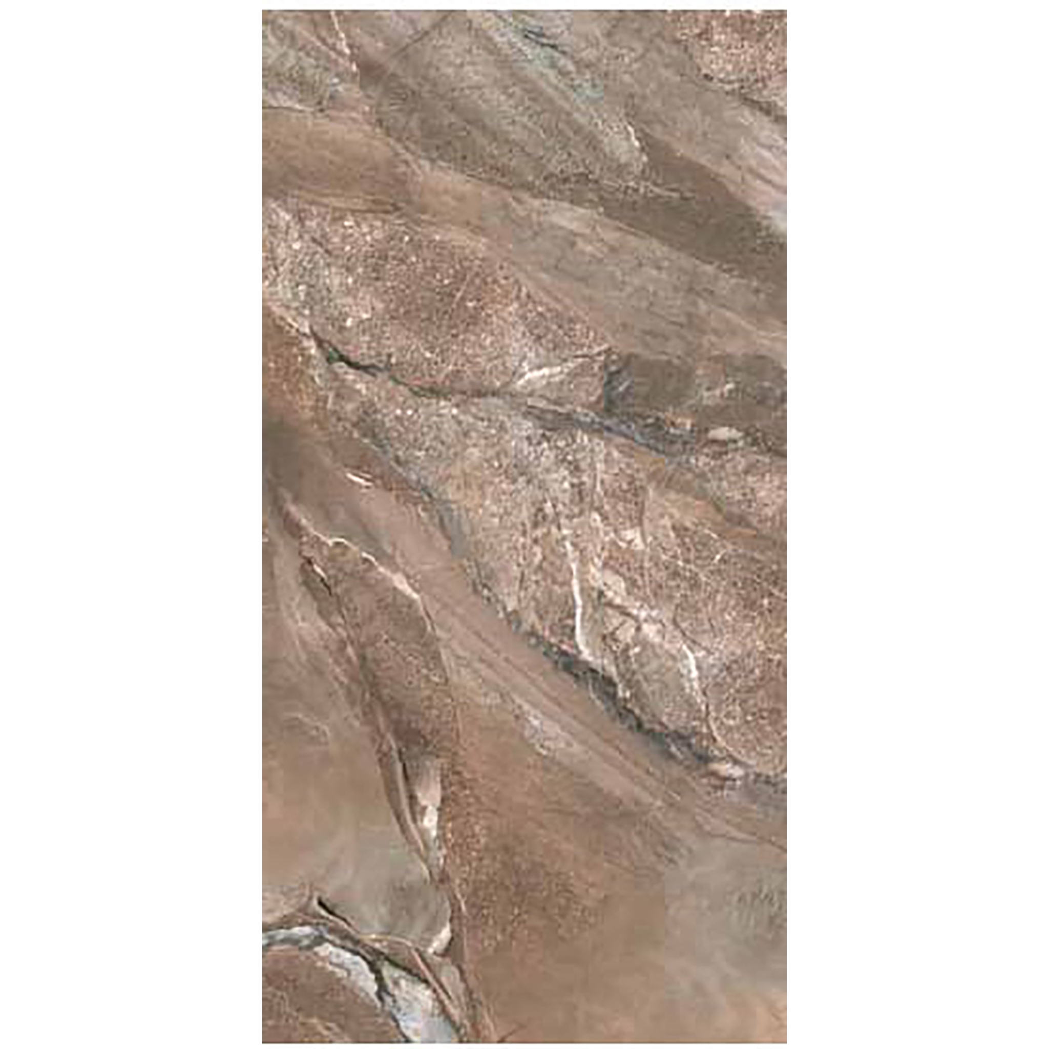 fossilique