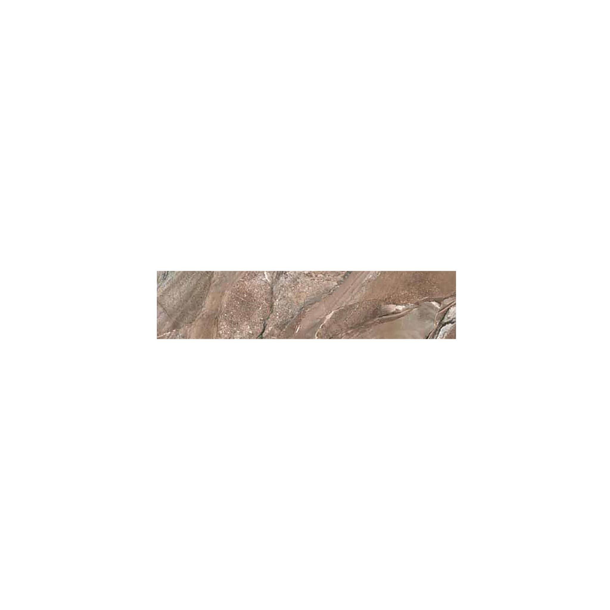 fossilique